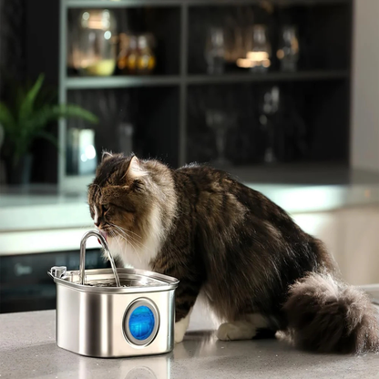 Stainless Steel Automatic Pet Water Fountain