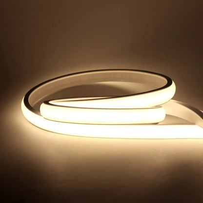 Dimmable & Flexible LED Neon Strip Light